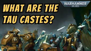 The Tau Caste System | Warhammer 40k Lore