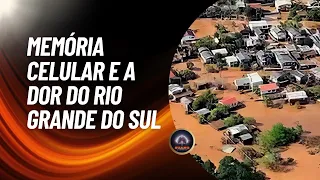 Memória Celular e a Dor do Rio Grande do Sul