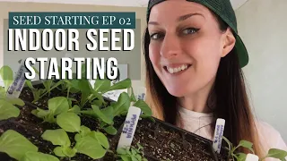 How I Start Annual Seeds Indoors | 2020 Zone 6b Gardening