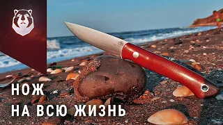 С этим ножом ты не захочешь расставаться НИКОГДА! BeaverKnife GranTourismo