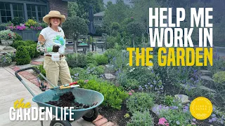 HELP Me Work In The Garden Please!