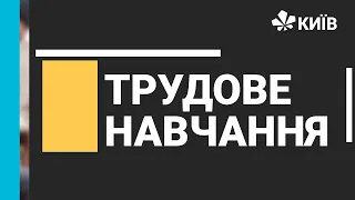 Трудове навчання, 8 клас "Органайзер для рукоділля. Урок 2 " 01.02.21 - #Відкритийурок