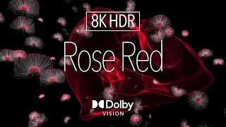 8K HDR Digital Art ｜ Rose Red｜ Dolby Vision™｜ Micro LED | Vision Pro