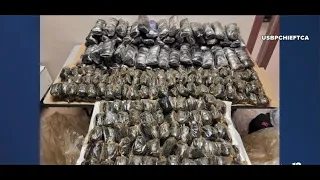 Border patrol agents seize $4.3 million in Fentanyl in Arizona