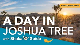How to Spend a Day in Joshua Tree National Park
