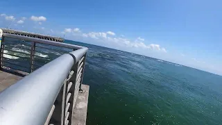 What Lurks Beneath...Boynton Inlet