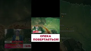 🌡️🌞 Всюди понад +30! До України повертається спекотна погода