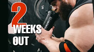 2 weeks out from the Arnold Classic UK - Push @ Kings gym