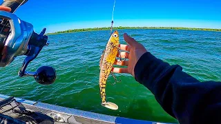 UNEXPECTED CATCH Musky Fishing Minnesota's PRIME WATERS || Muskie Battle 2020