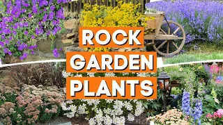10 Best Rock Garden Plants for Sun or Shade ☀️✨ // PlantDo Home Garden