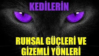 KEDİLERİN RUHSAL GÜÇLERİ VE GİZEMLİ YÖNLERİ