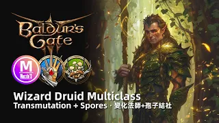 Baldur’s Gate 3 Build: Transmutation Wizard Multiclass Druid Cleric Tank. Spores, War Domain. Halsin