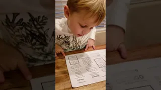 Gannon (5 years old) reading Kindergarten homework December 2018