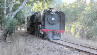 Trains in South Australia: A timeless classic returns to the rails!