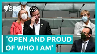 Greens MP highlights LGBTIQ+ representation in heartfelt maiden speech  | SBS News