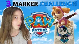 3 Marker Challenge *PAW PATROL SKYE!*