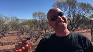 Mates and Gold - Detecting Western Australia Part 2