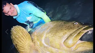 Episode 1 Giant Goliath Grouper from Florida Beach!