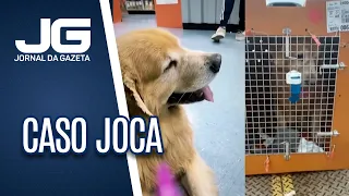 Governo vai ouvir sociedade sobre transporte de animais; e veterinários falam sobre condições ideais