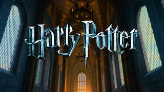 Lirium Prod - Harry Potter (Epic metal cover)