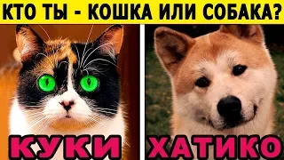 Тест! Кто Ты по Характеру КОШКА или СОБАКА? Невероятный тест онлайн! Пройди тест и узнаешь о себе!