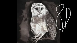 Cosmo Sheldrake - Owl Song 8D