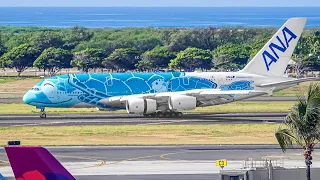 2HRs Watching Airplanes & Aircraft Identification | Plane Spotting Honolulu Airport [HNL/PHNL]