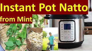 How to Make Natto from a Wild Plant: Instant Pot Version