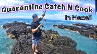 Catch N Cook during the Quarantine on Secluded Beach / Fishing N Diving in Hawaii VLOG