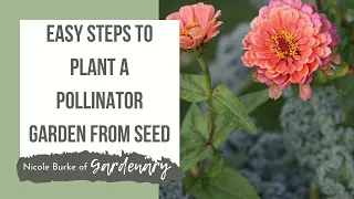 Easy Steps to Plant a Pollinator Garden from Seed for Bees, Butterflies, and Hummingbirds