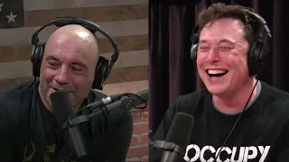 Joe Rogan tells Elon Musk a dad joke.