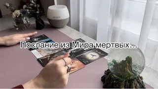 ПОСЛАНИЕ ИЗ МИРА МЕРТВЫХ📩#послание от мертвых таро#