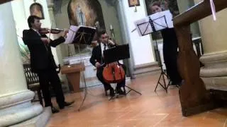 Florence Art Ensemble Trio Vl Fl Vlc