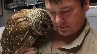 The Owl Brought Everyone to Tears When She Saw Her Savior Again!