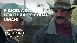 Las Fierbinți - Firicel a dat lovitura... e cobai uman! Primește bani să ia pastile  😆