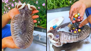 unbelievable! Are octopuses mutated? it has pearls in its belly