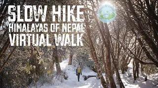 A Slow Hike in the Himilaya Mountains of Nepal | SLOW TV