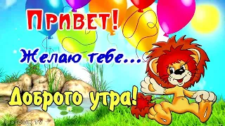 ДОБРОЕ УТРО🎈ВЕСЁЛОЕ И СМЕШНОЕ ПОЖЕЛАНИЕ ДОБРОГО УТРА!