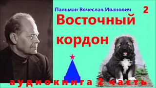 Пальман Вячеслав Иванович Восточный кордон 2 часть