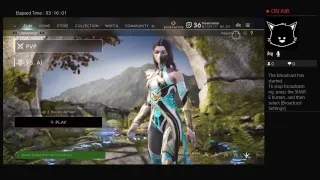 theskinimin plays paragon