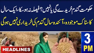 Samaa News Headlines 3 PM | Wheat Scandal | Punjab Government will not buy wheat | 11 May 2024