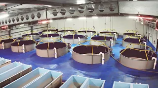 3D Tour of Earth Ocean Farms’ Marine RAS Facility