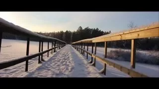 Snowy Forest - HD (Fagersta, Sweden)