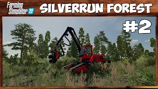 В лесу спилили ёлочку... || Silverrun Forest #2 || Farming Simulator 22