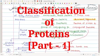 28. Classification of Proteins [Part-1] | Based on Functions, Chemical nature (Solubility) & Shape