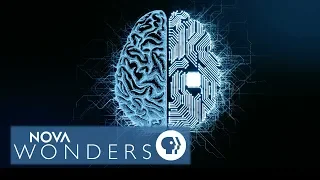 "NOVA Wonders: Can We Build a Brain?" Preview