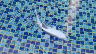 RC SHARK in action