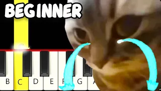 Chipi Chipi Chapa Chapa CRYING - Fast and Slow (Easy) Piano Tutorial - Beginner