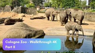 Cologne Zoo Silent Walk in 4K - Part 2 | Cologne, Germany, April 2024