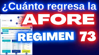 ¿Cuánto Regresa la Afore a Régimen 73?